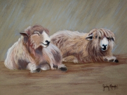 Contented Sheep $1075 23X19